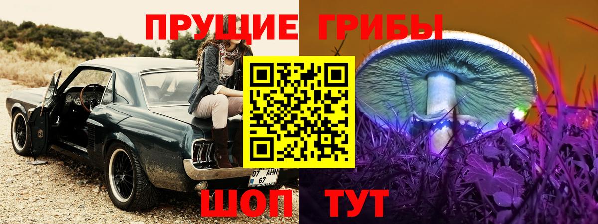 Кызыл  Галлюциногенные грибы Psilocybine cubensis  Вход с VPN 
